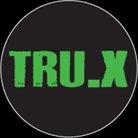 Truth Excavation Logo
